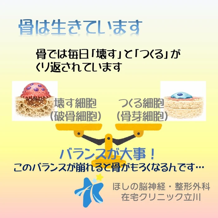 画像282
