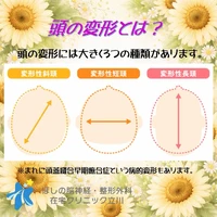 画像313