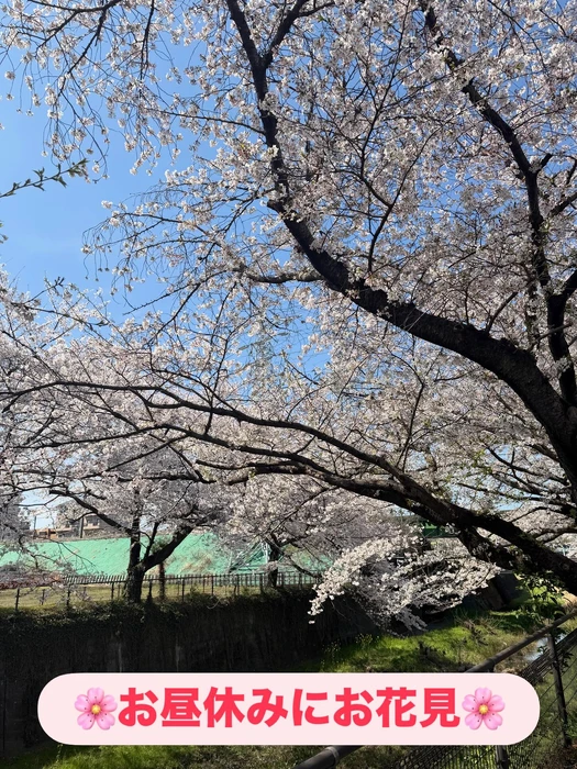 画像330