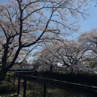 画像331