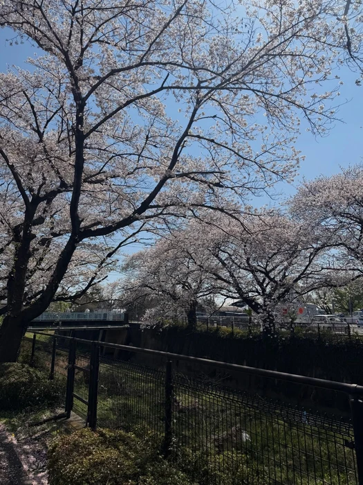 画像331