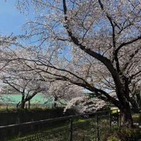 画像333