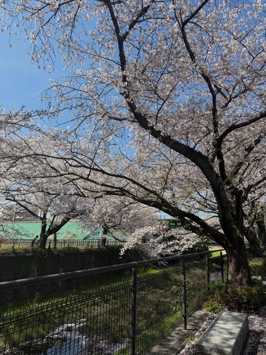 画像333