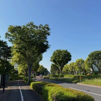 画像380