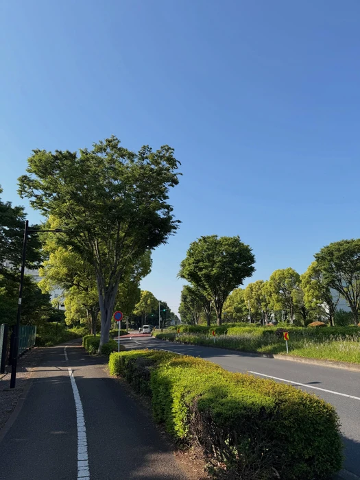 画像380