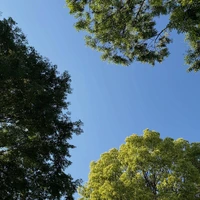 画像381