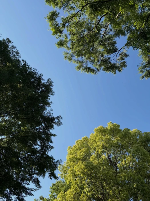 画像381