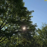 画像382