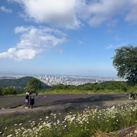 画像440