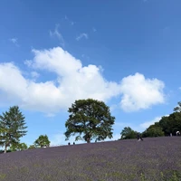 画像441