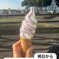 画像444