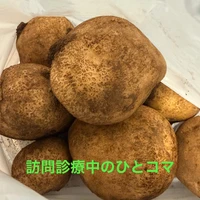 画像480