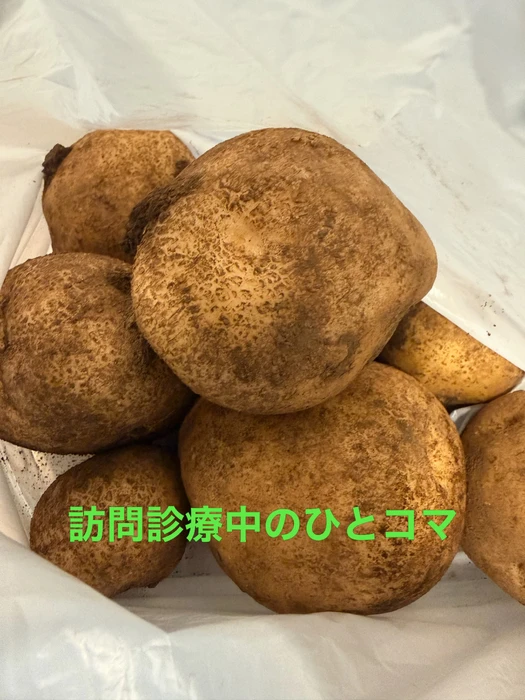 画像480